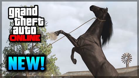 Horse DLC, Yachts & MORE! (GTA 5 Online Gameplay) .